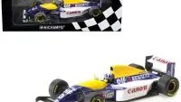 Limited Edition 1/18 Minichamps Williams Renault FW15C Damon Hill Diecast Model - 1993 F1 Icon