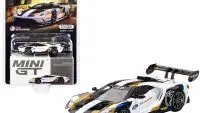 Ford GT Mk II 2019 Pebble Beach Limited Edition 1/64 Diecast Model by True Scale Miniatures