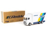 Nissan GT-R NISMO GT3 #21